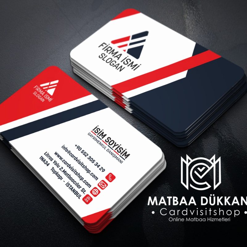 Gayrimenkul Kartvizit 1001